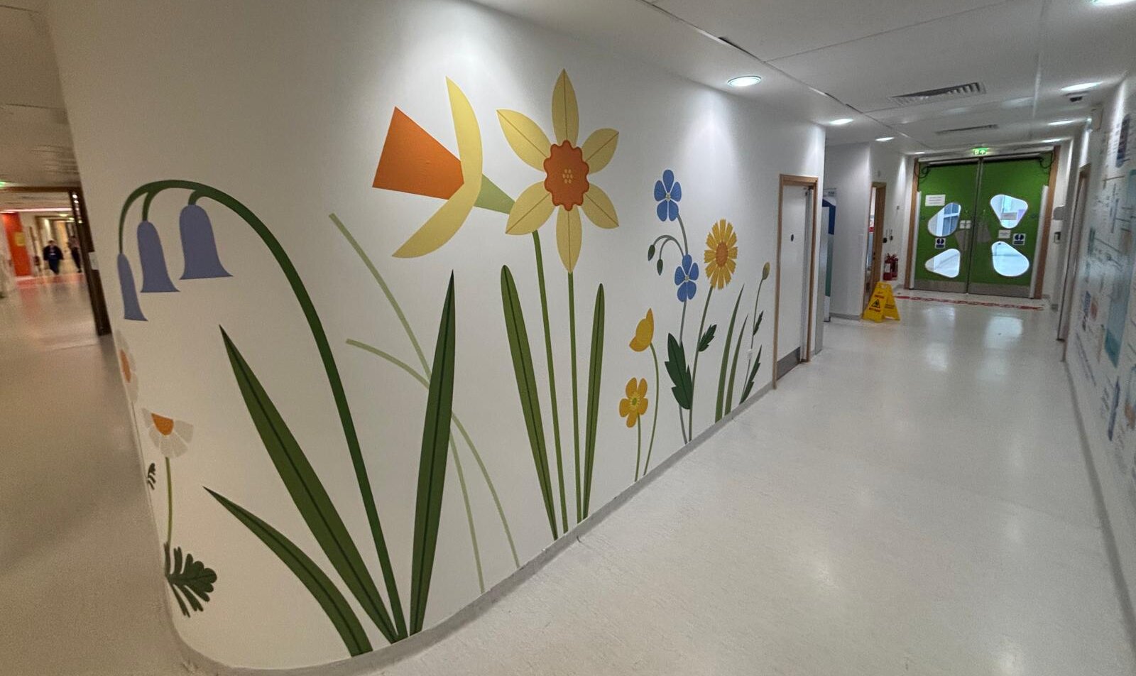 wall graphics at alder hey hospital