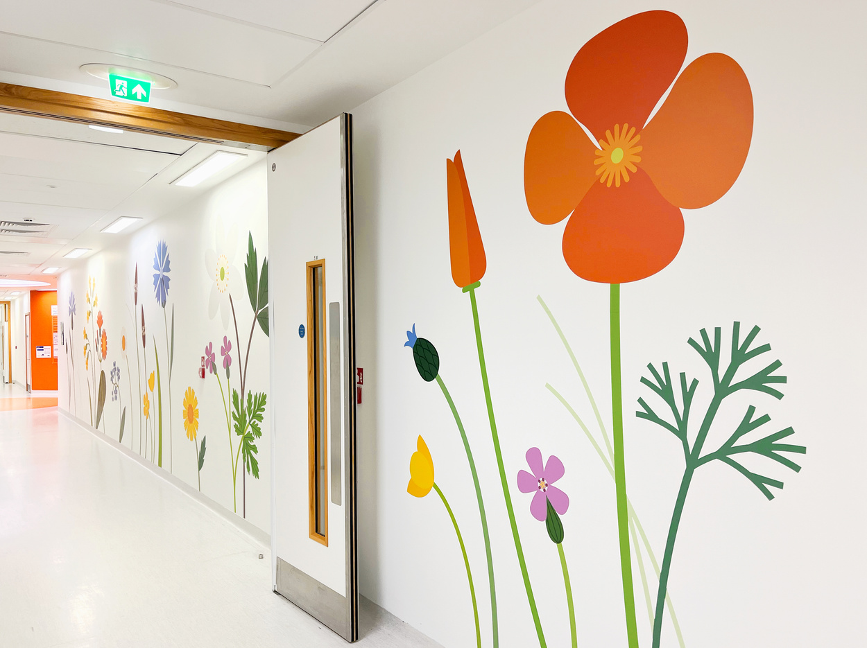 alder hey vinyls installed by vinyline signs & graphics