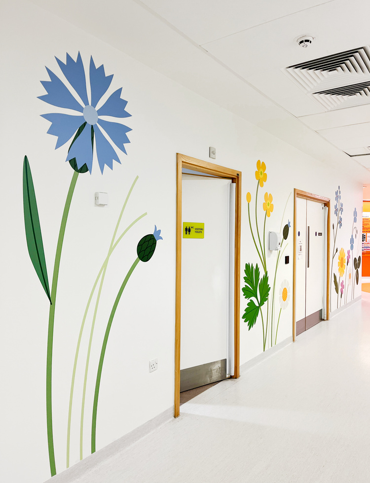 hospital wall graphics at alder hey children's hospital by vinyline