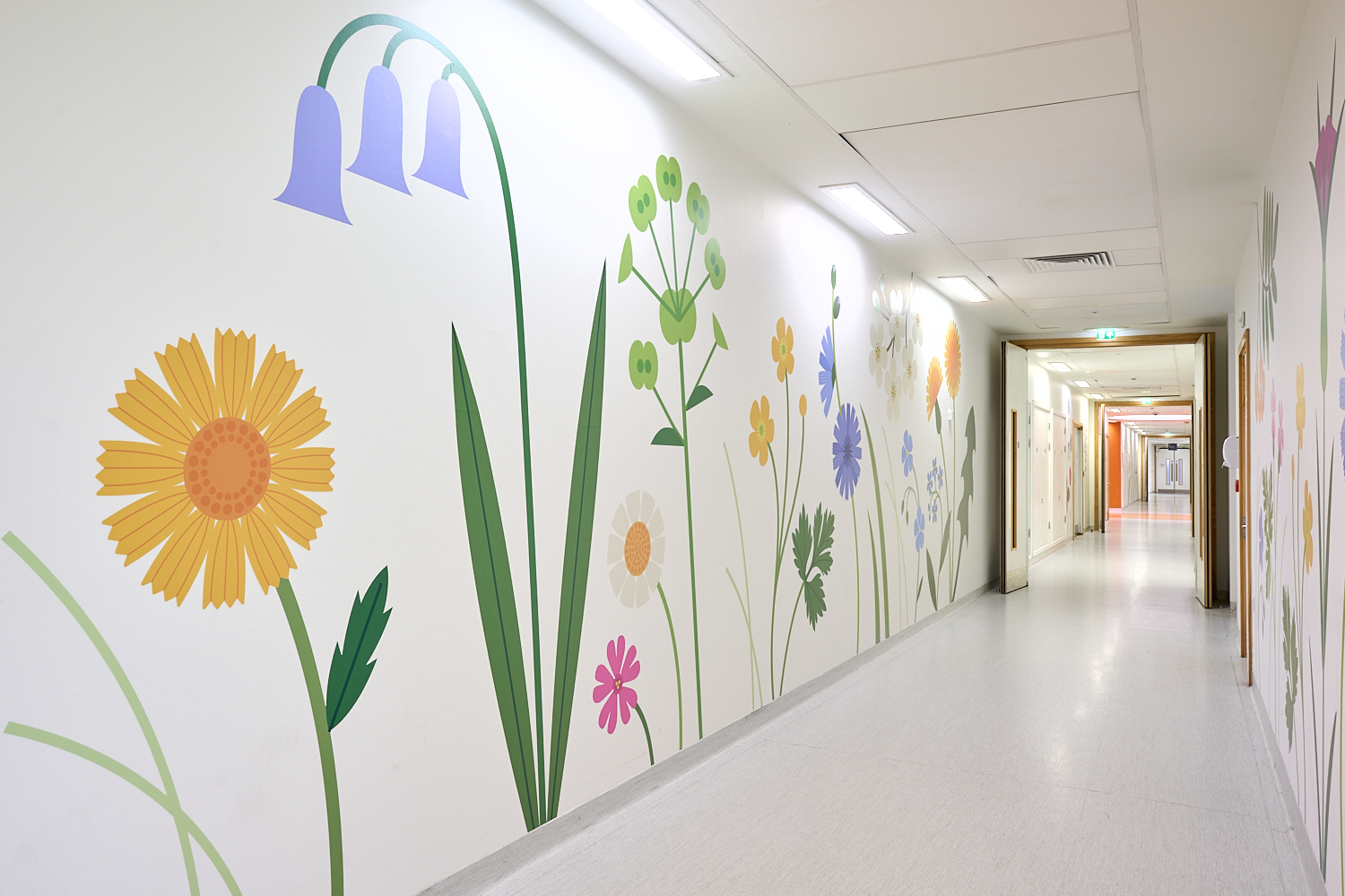 Alder Hey Blooming by Sarah Abbott, images by Rob Battersby